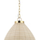 Brown Single Metal Dimmable Ceiling Light With Brown Shades