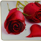 24" Red White And Gold Solid Wood and Acrylic Silent Roses Floral Wall Clock