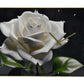 24" White Black And Green Solid Wood and Acrylic Silent Roses Floral Wall Clock