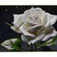 24" White Black And Green Solid Wood and Acrylic Silent Roses Floral Wall Clock