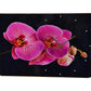 24" Pink Black And Gold Solid Wood and Acrylic Silent Orchids Floral Wall Clock