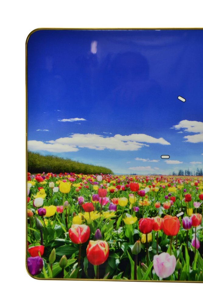 24" Blue Red And Gold Solid Wood and Acrylic Silent Tulips Floral Wall Clock