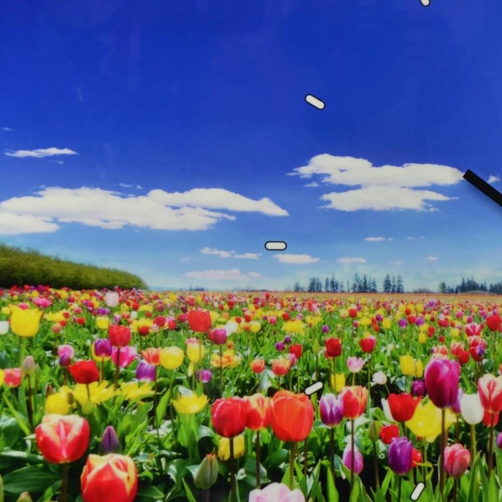 24" Blue Red And Gold Solid Wood and Acrylic Silent Tulips Floral Wall Clock