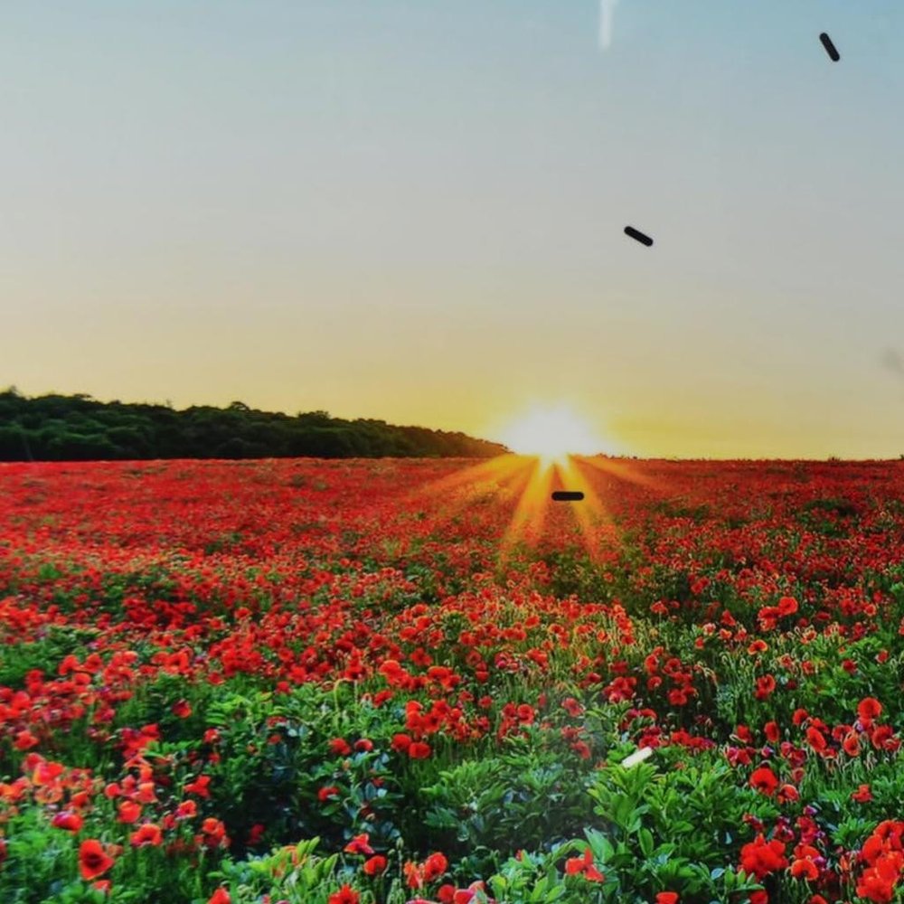 24" Red Blue And Gold Solid Wood and Acrylic Silent Poppies Floral Wall Clock
