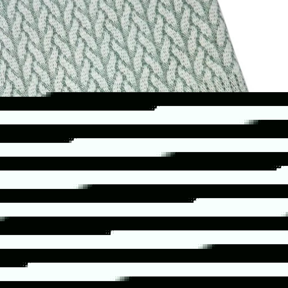 55" X 70" Sage Cotton Blend Woven Plush Throw Blanket with Fringe