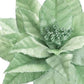 Set of Six 13" Mint Green And Brown Artificial
