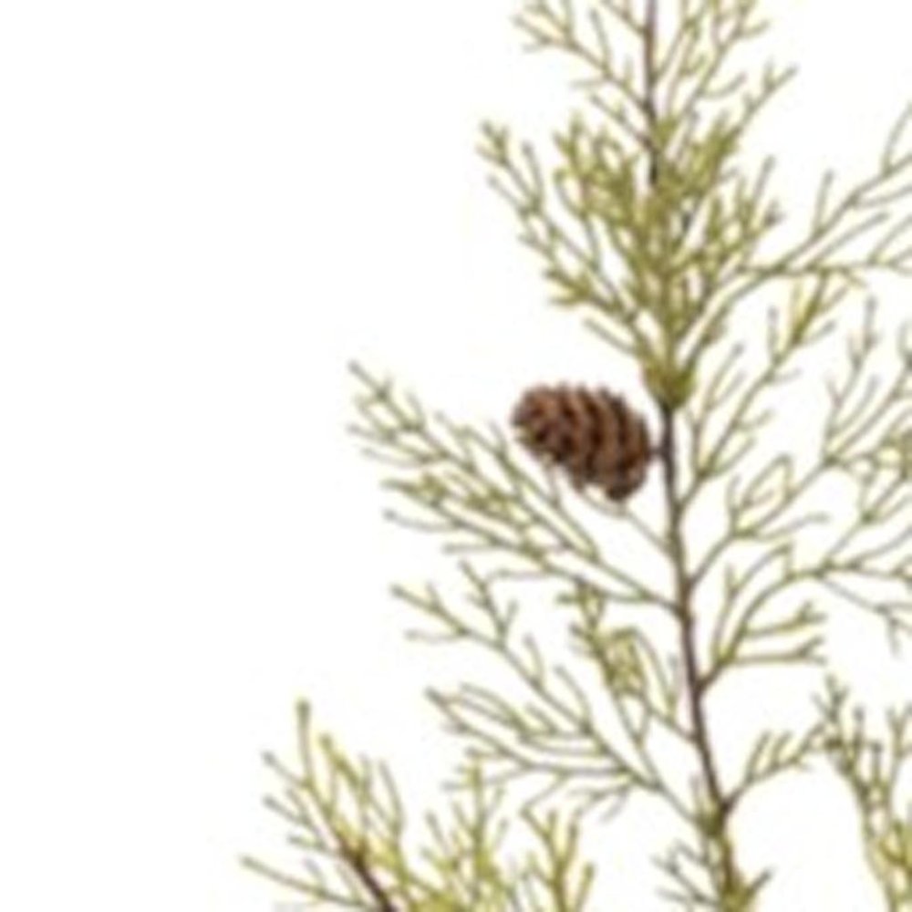 Set of Six 9" Green And Brown Artificial Pine