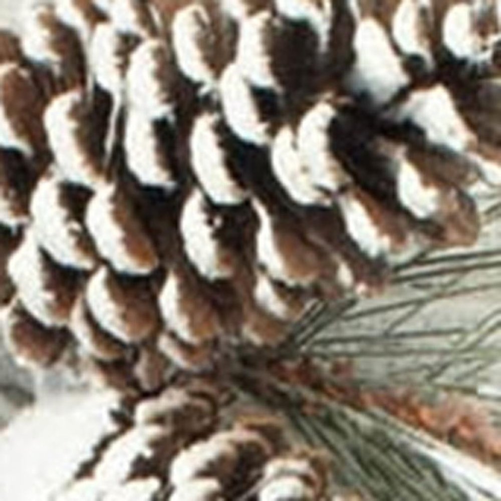 12" White Green And Brown Artificial Pine