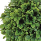 Set of Two 14" Green Artificial Foliage