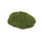 Set of Three 6" Green And Brown Artificial Moss