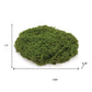 Set of Three 6" Green And Brown Artificial Moss