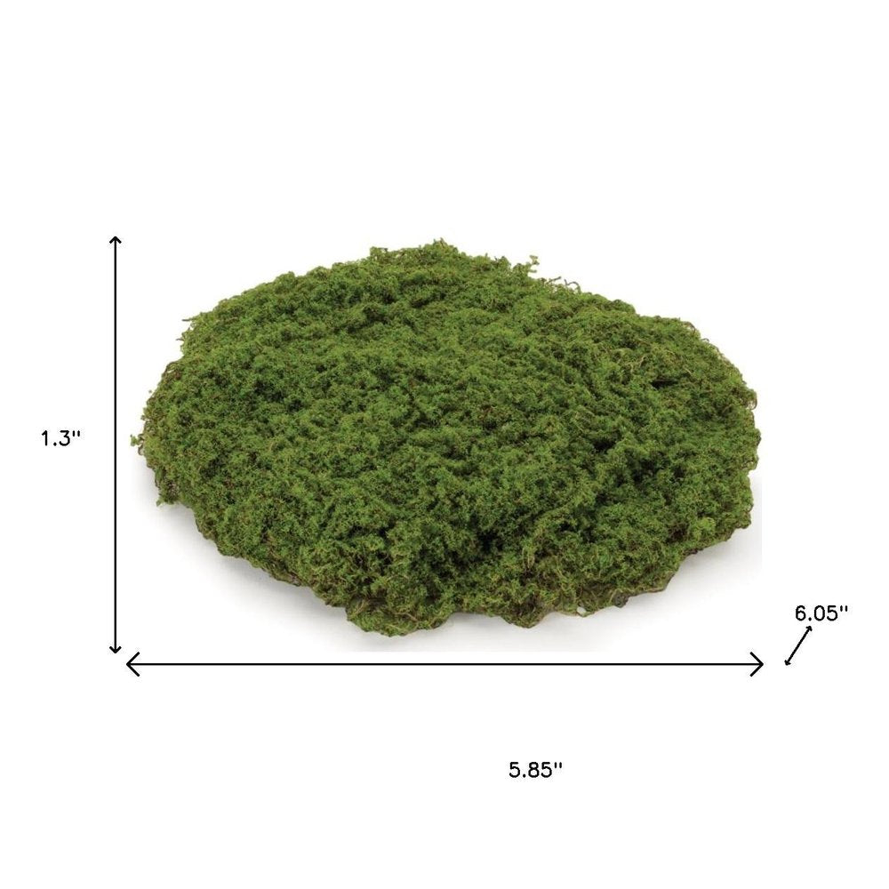 Set of Three 6" Green And Brown Artificial Moss