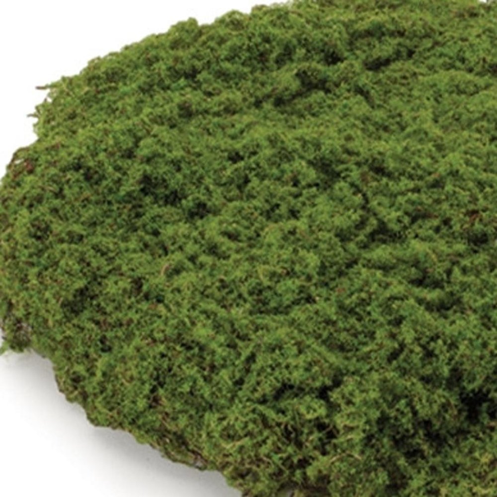Set of Three 6" Green And Brown Artificial Moss