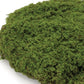 Set of Three 6" Green And Brown Artificial Moss