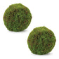 Set of Two 9" Green And Brown Artificial Moss
