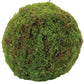 Set of Two 9" Green And Brown Artificial Moss