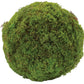 Set of Two 7" Green And Brown Artificial Moss