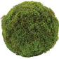 Set of Two 7" Green And Brown Artificial Moss