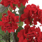 Set of Two 17" Red And Green Artificial Flowering