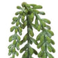 12 15" Green Artificial Succulent