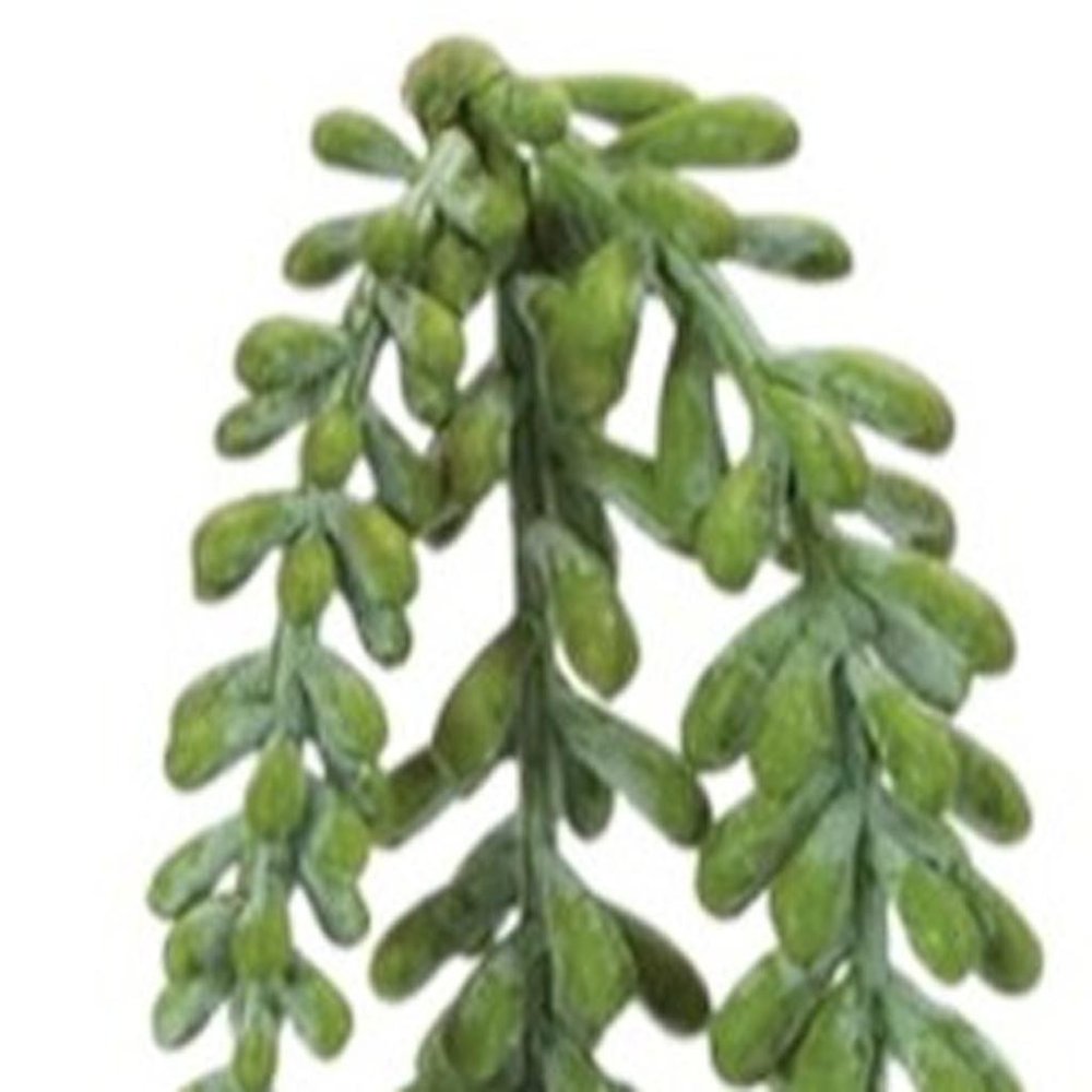 12 15" Green Artificial Succulent