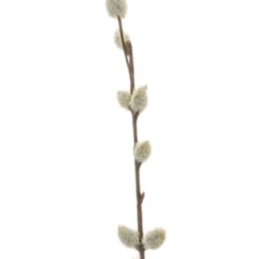 Set of Six 31" White And Brown Artificial