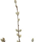 Set of Six 31" White And Brown Artificial