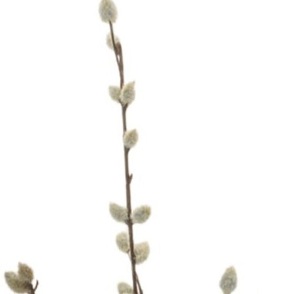 Set of Six 31" White And Brown Artificial