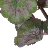 Set of Two 19" Pink And Green Artificial Flowering