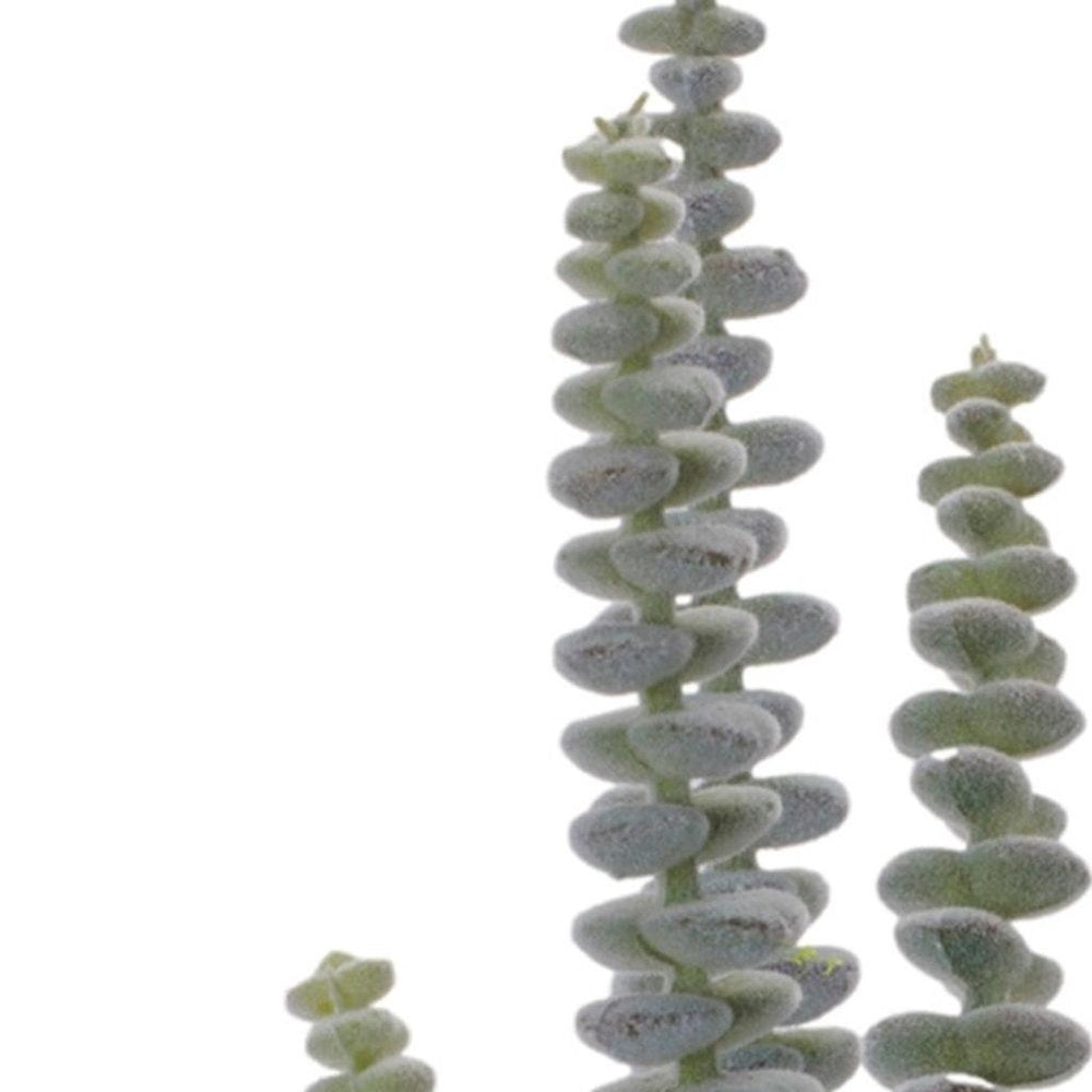 Set of Six 11" Green And Brown Artificial Succulent