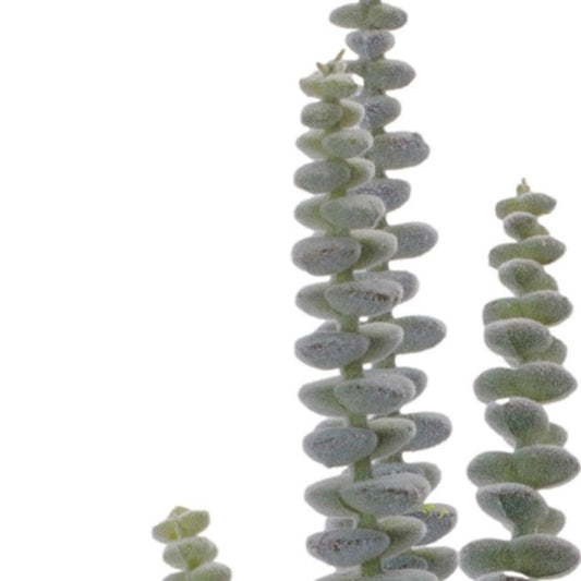 Set of Six 11" Green And Brown Artificial Succulent