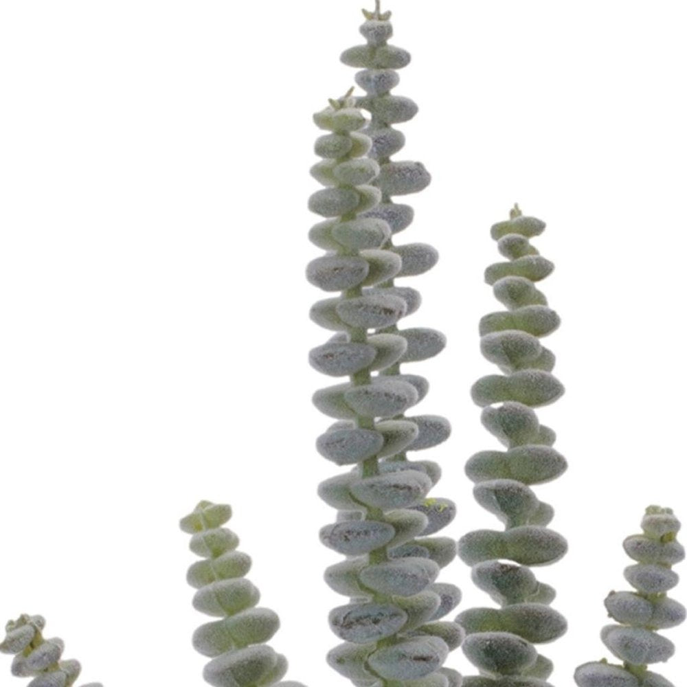 Set of Six 11" Green And Brown Artificial Succulent