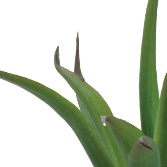 Set of Six 9" Green And Brown Artificial Succulent