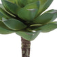 12 4" Green And Brown Artificial Succulent
