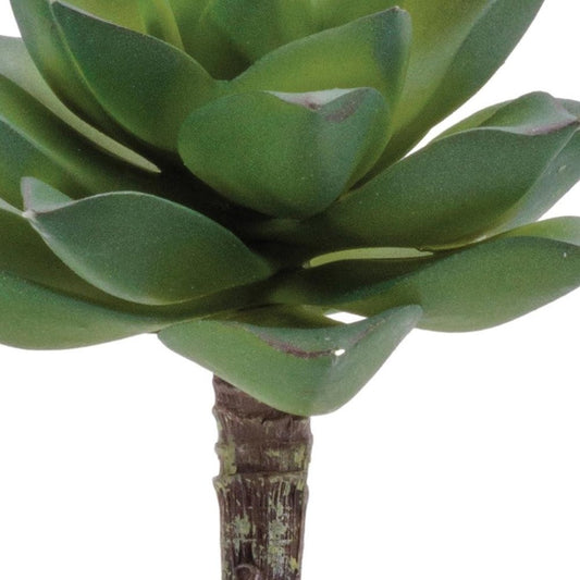 12 4" Green And Brown Artificial Succulent