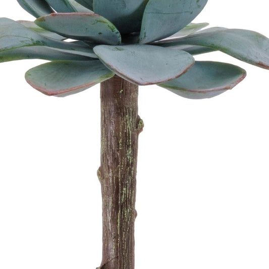 12 5" Green And Brown Artificial Succulent