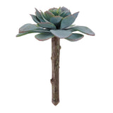 12 5" Green And Brown Artificial Succulent