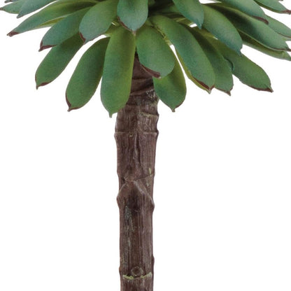 12 4" Green And Brown Artificial Succulent