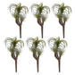 Set of Six 8" Green And Brown Artificial Succulent