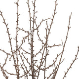 Set of Six 10" Brown And Gray Artificial Birch