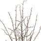 Set of Six 10" Brown And Gray Artificial Birch