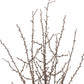 Set of Six 10" Brown And Gray Artificial Birch