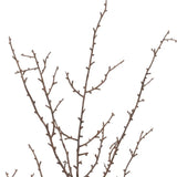 Set of Six 9" Brown And Gray Artificial Birch