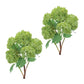 Set of Two 12" Green And Brown Artificial