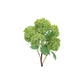 Set of Two 12" Green And Brown Artificial