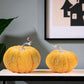 Set of Two Orange And Green Plastic Pumpkin Thanksgiving Pumpkin Tabletop Sculpture