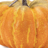 Set of Two Orange And Yellow Plastic Pumpkin Thanksgiving Pumpkin Tabletop Sculpture