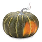Set of Two Green And Orange Plastic Pumpkin Thanksgiving Pumpkin Tabletop Sculpture