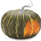 Set of Two Green And Orange Plastic Pumpkin Thanksgiving Pumpkin Tabletop Sculpture