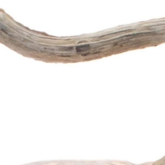 Set of Two Orange And Brown Glass Pumpkin Thanksgiving Pumpkin Tabletop Sculpture with LED